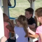 Royal Retreat Swing Set - Image 4